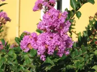 5615.webp