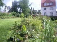 IMGP5158.webp