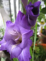 IMG_0769.webp