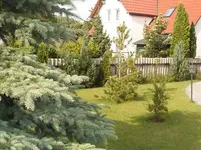 Blick in den Garten-1.webp Blick in den Garten-1.webp