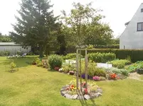 Blick ins Gemüsebeet.-1.webp Blick ins Gemüsebeet.-1.webp