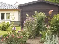 staudenbeet-heute-1.webp staudenbeet-heute-1.webp