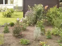 Staudenbeet-heute-2.webp Staudenbeet-heute-2.webp