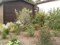 Staudenbeet-heute-3.webp Staudenbeet-heute-3.webp