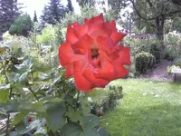 Noname6.webp