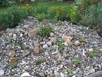 garten 09 015.webp