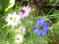 18966.webp