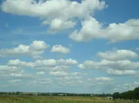 DSC00382.webp