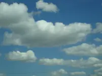 DSC00388.webp