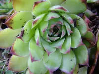 DSCF5233.webp