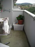 DSCN2133.webp