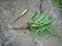 20090721_9050.webp 20090721_9050.webp