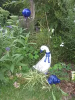 garten 09 007.webp