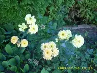 JD500263.webp