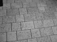 garten.webp