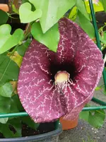 11.07.09 004.webp