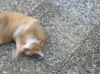 20090626_19.webp