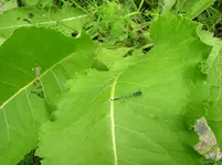 DSCN0177.webp