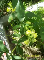 036.webp