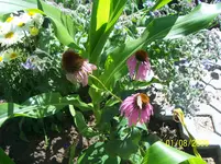 044.webp
