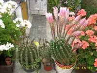 JD500236.webp