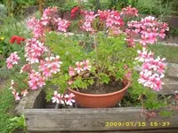 JD500243.webp