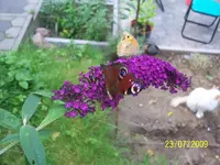 020.webp