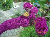 024.webp