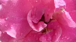 K800_Gemischtes 1053.webp