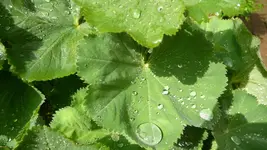 K800_Gemischtes 1072.webp