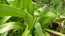 K800_Gemischtes 1073.webp