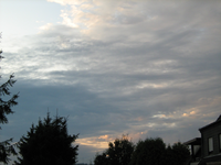 IMG_2285.webp