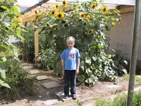 MartinGarten010809 004.webp