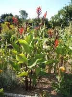Garten 005.webp