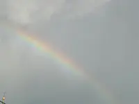 01.08.2009 004.webp