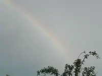 01.08.2009 006.webp