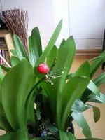 Foto043.webp