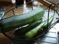Korb voll Zucchini.webp