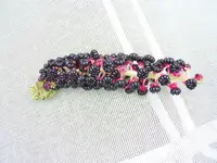 PIC_0042.webp