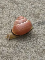 garten 09 007.webp