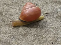 garten 09 008.webp