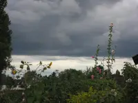 garten 09 009.webp