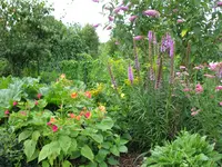 27.07.09 010.webp