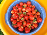 DSCF1285.webp