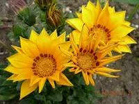 DSCN0257.webp