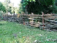 P1010036.webp