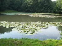 100_2295_600_450.webp