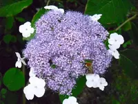 18.07.09 005.webp