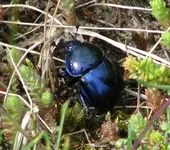 IMG_1776 zuschnitt.webp