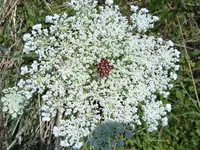 S4300002-1.webp S4300002-1.webp